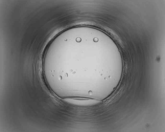 X0000116671274201001111303