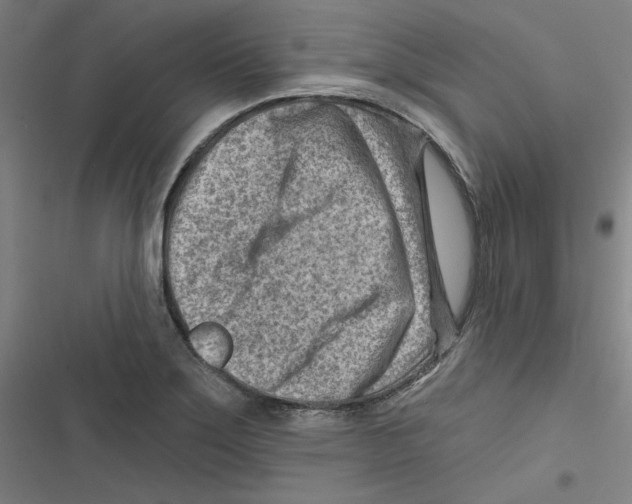 X0000116671275201001111303