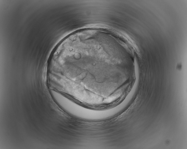 X0000116671276201001111303