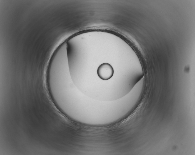 X0000116671277201001111303