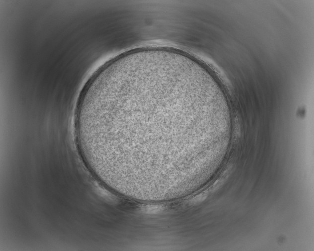 X0000116671278201001111303