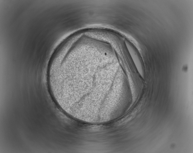 X0000116671279201001111303