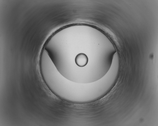 X0000116671280201001111303