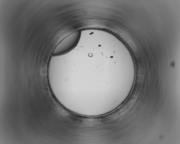 X0000116671281201001111303