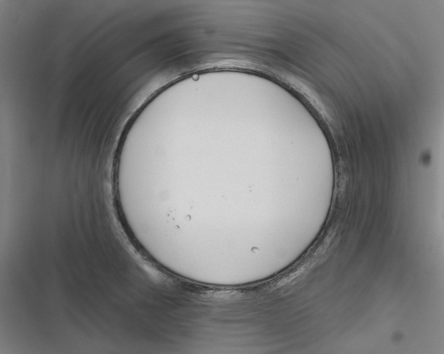 X0000116671282201001111303