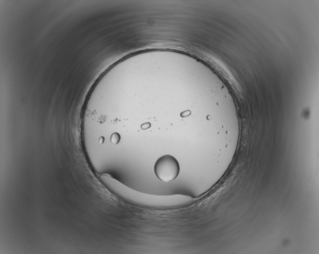 X0000116671284201001111303