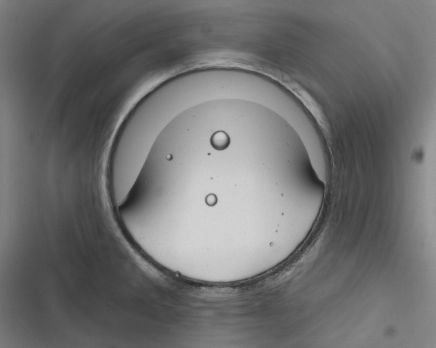 X0000116671285201001111303