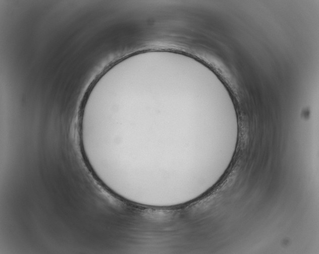 X0000116671286201001111303