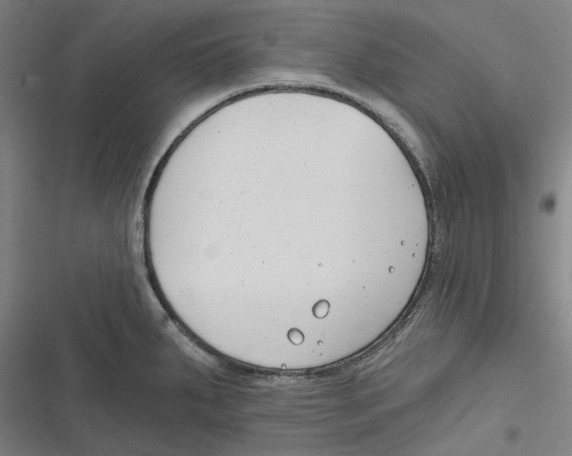 X0000116671287201001111303