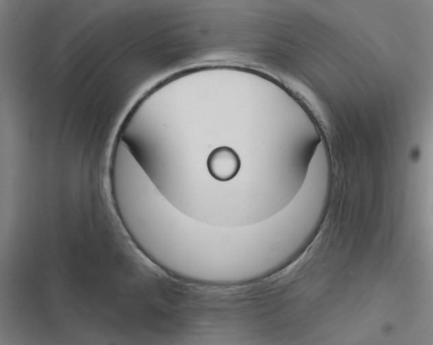 X0000116671288201001111303