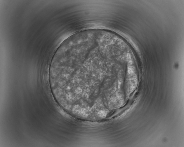 X0000116671289201001111303