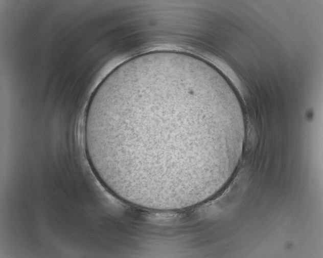 X0000116671290201001111303