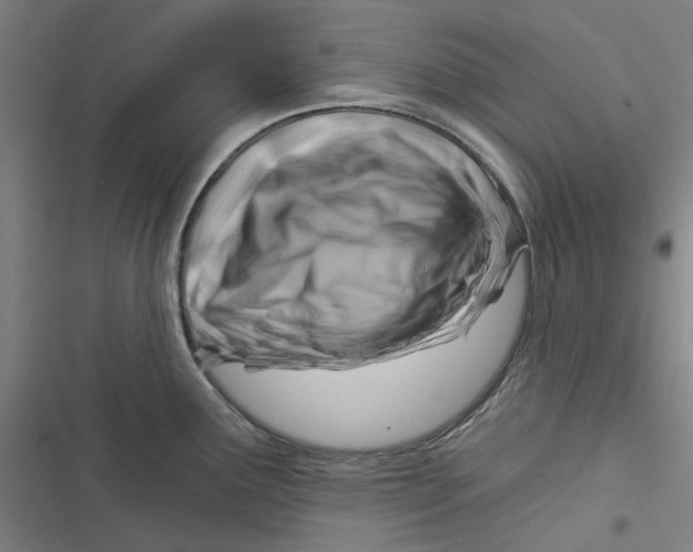 X0000116671291201001111303