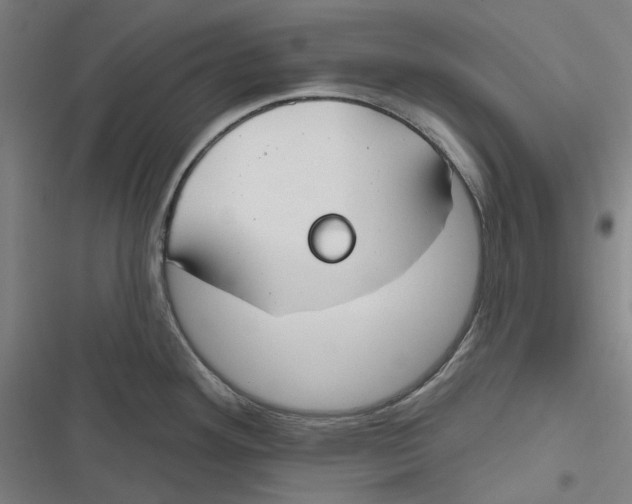 X0000116671292201001111303