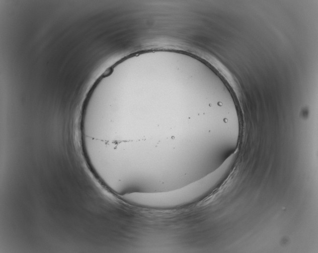 X0000116671293201001111303