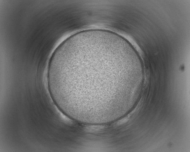 X0000116671294201001111303