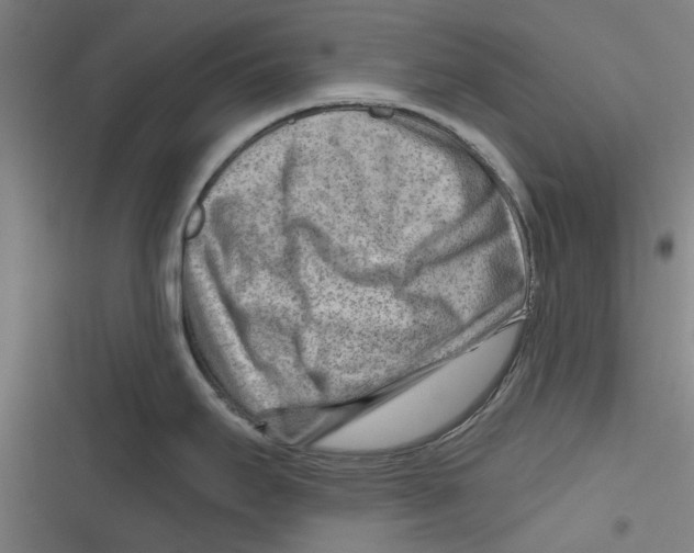 X0000116671295201001111303