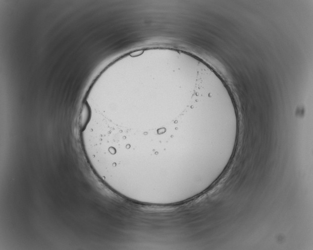 X0000116671296201001111303