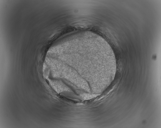 X0000116671297201001111302