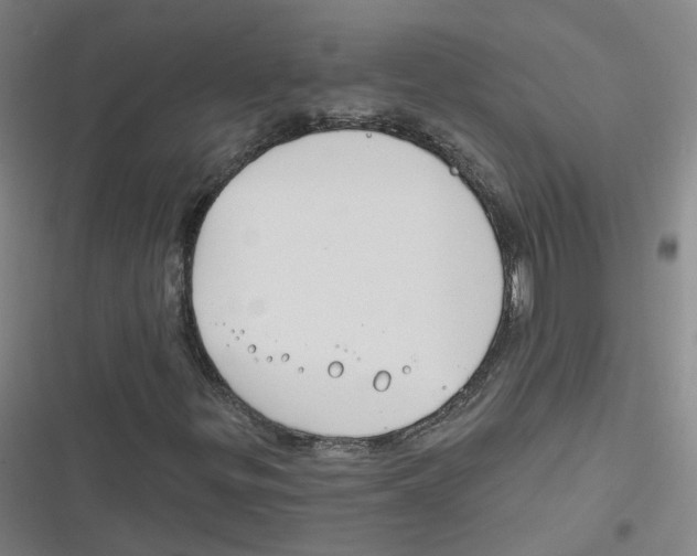 X0000116671299201001111302