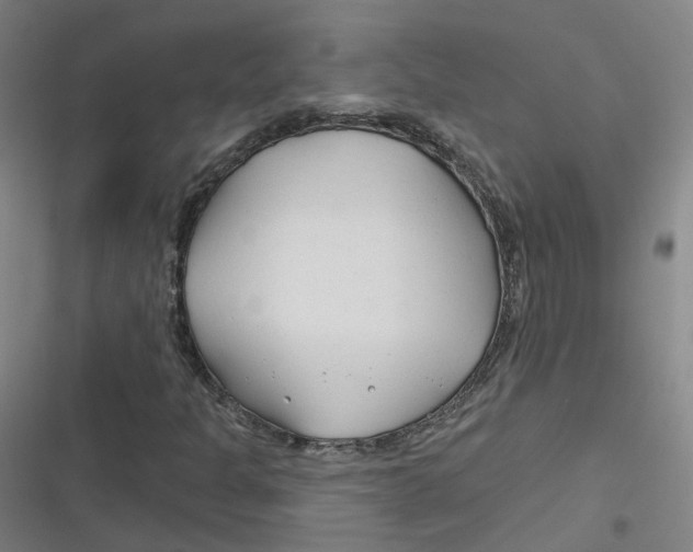 X0000116671301201001111302