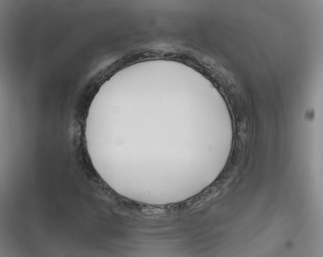 X0000116671302201001111302