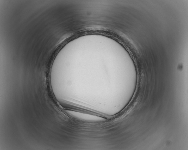 X0000116671305201001111302