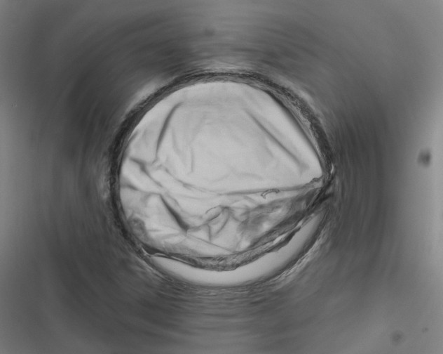 X0000116671306201001111302