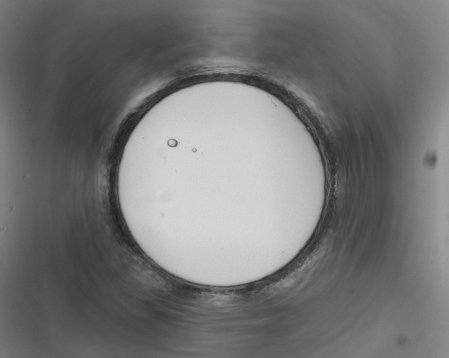 X0000116671309201001111302