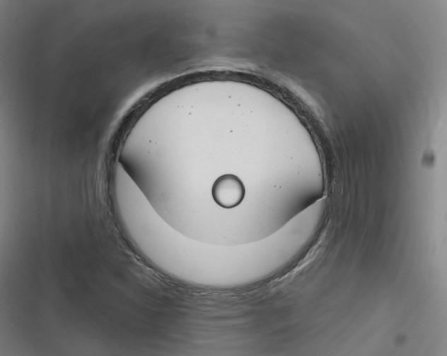 X0000116671310201001111302