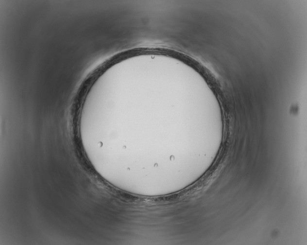 X0000116671311201001111302