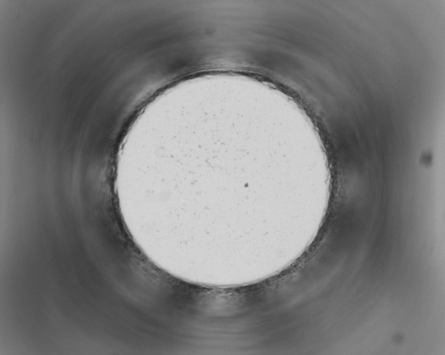 X0000116671314201001111302