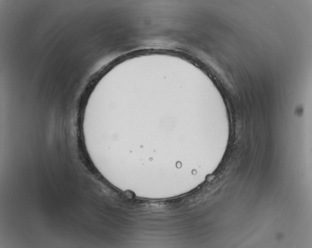 X0000116671315201001111302