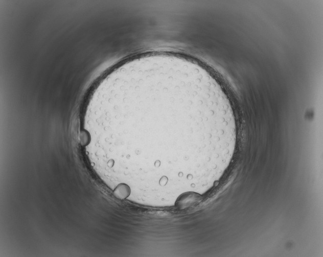 X0000116671317201001111302