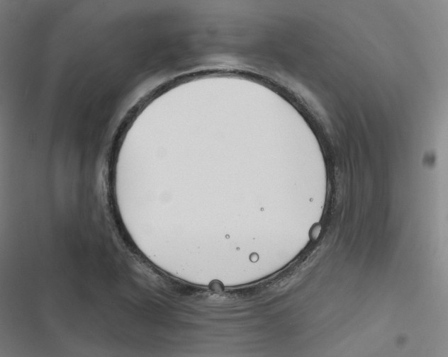 X0000116671318201001111302