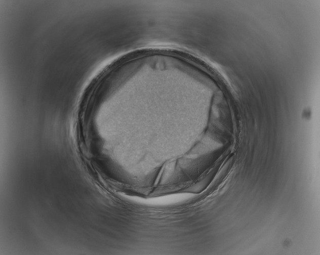 X0000116671319201001111302