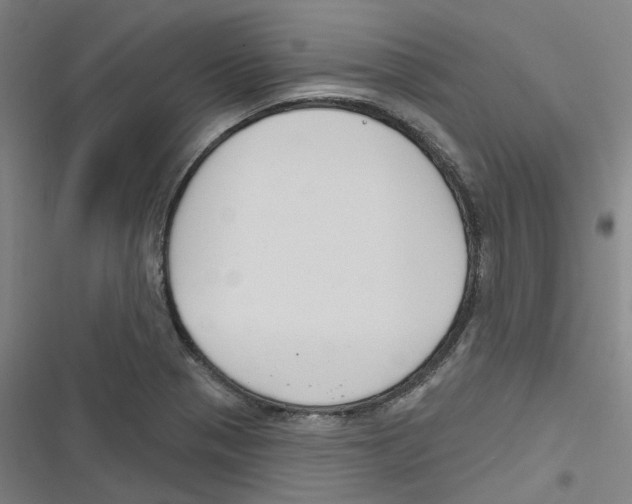 X0000116671321201001111303