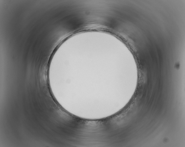 X0000116671322201001111303