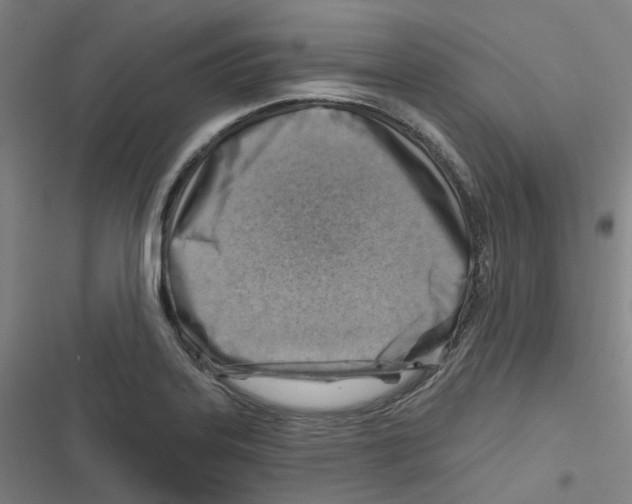 X0000116671323201001111303