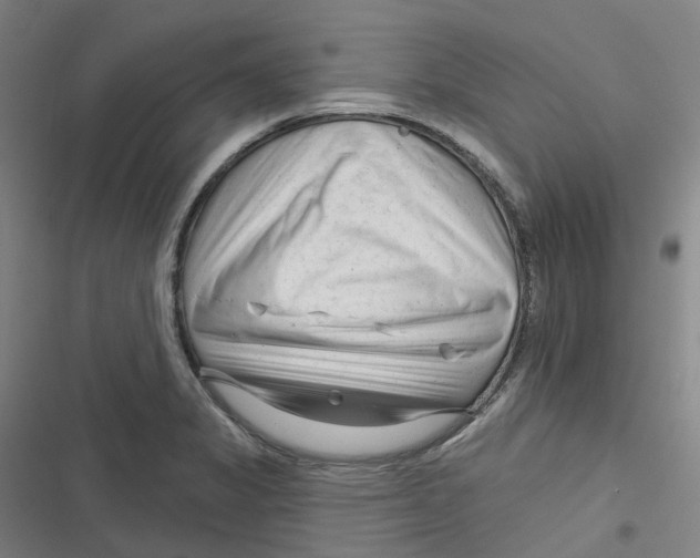 X0000116671325201001111303