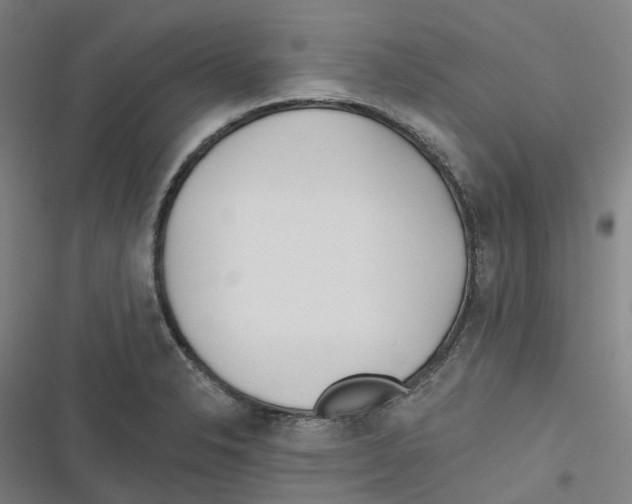 X0000116671326201001111303