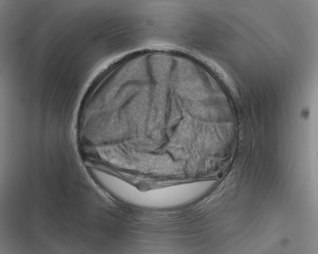 X0000116671327201001111303