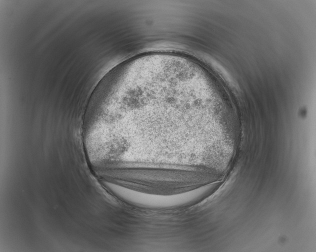 X0000116671329201001111303