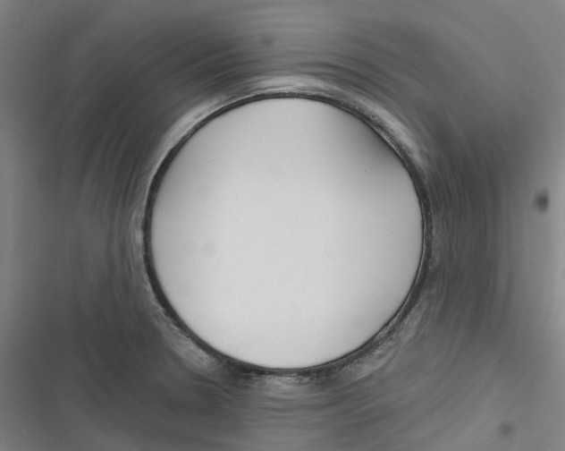 X0000116671330201001111303