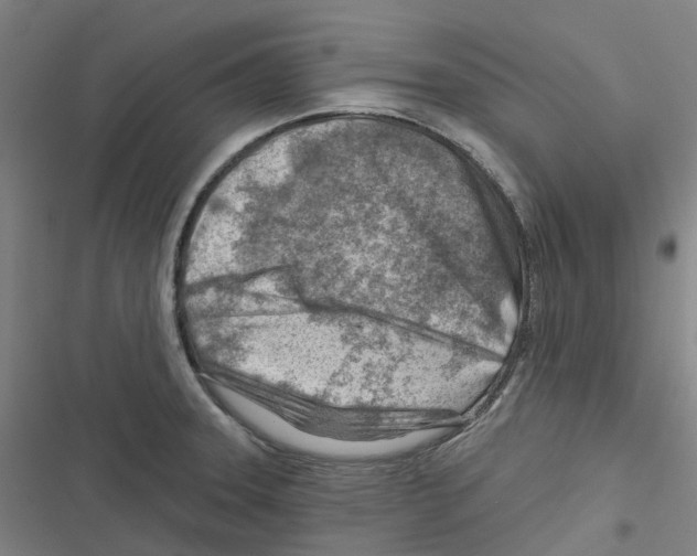 X0000116671331201001111303