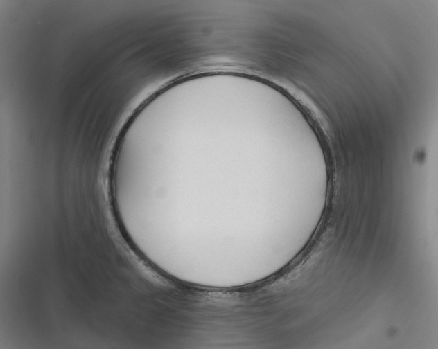 X0000116671333201001111303