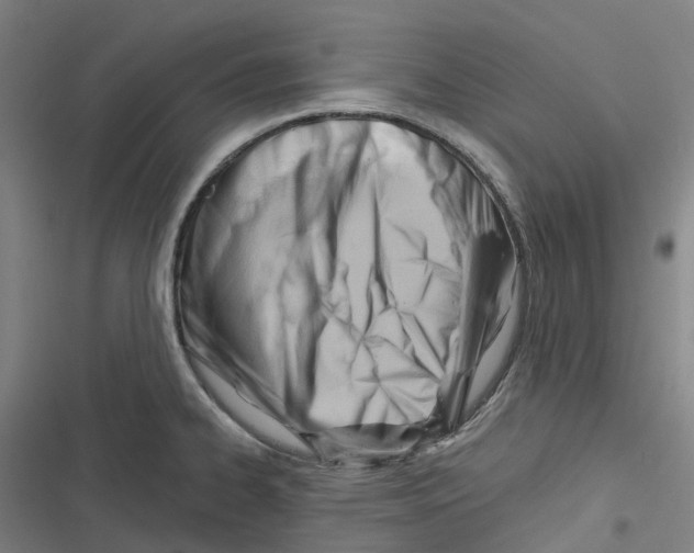 X0000116671334201001111303