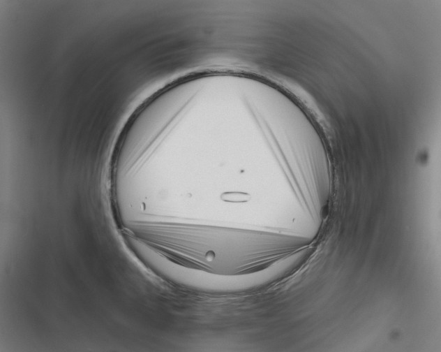 X0000116671335201001111303