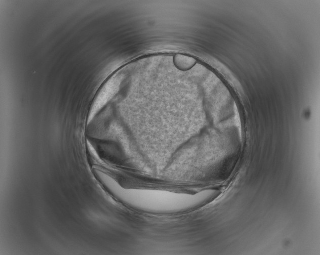 X0000116671337201001111303