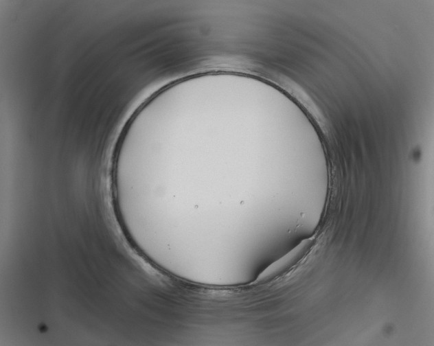 X0000116671339201001111303